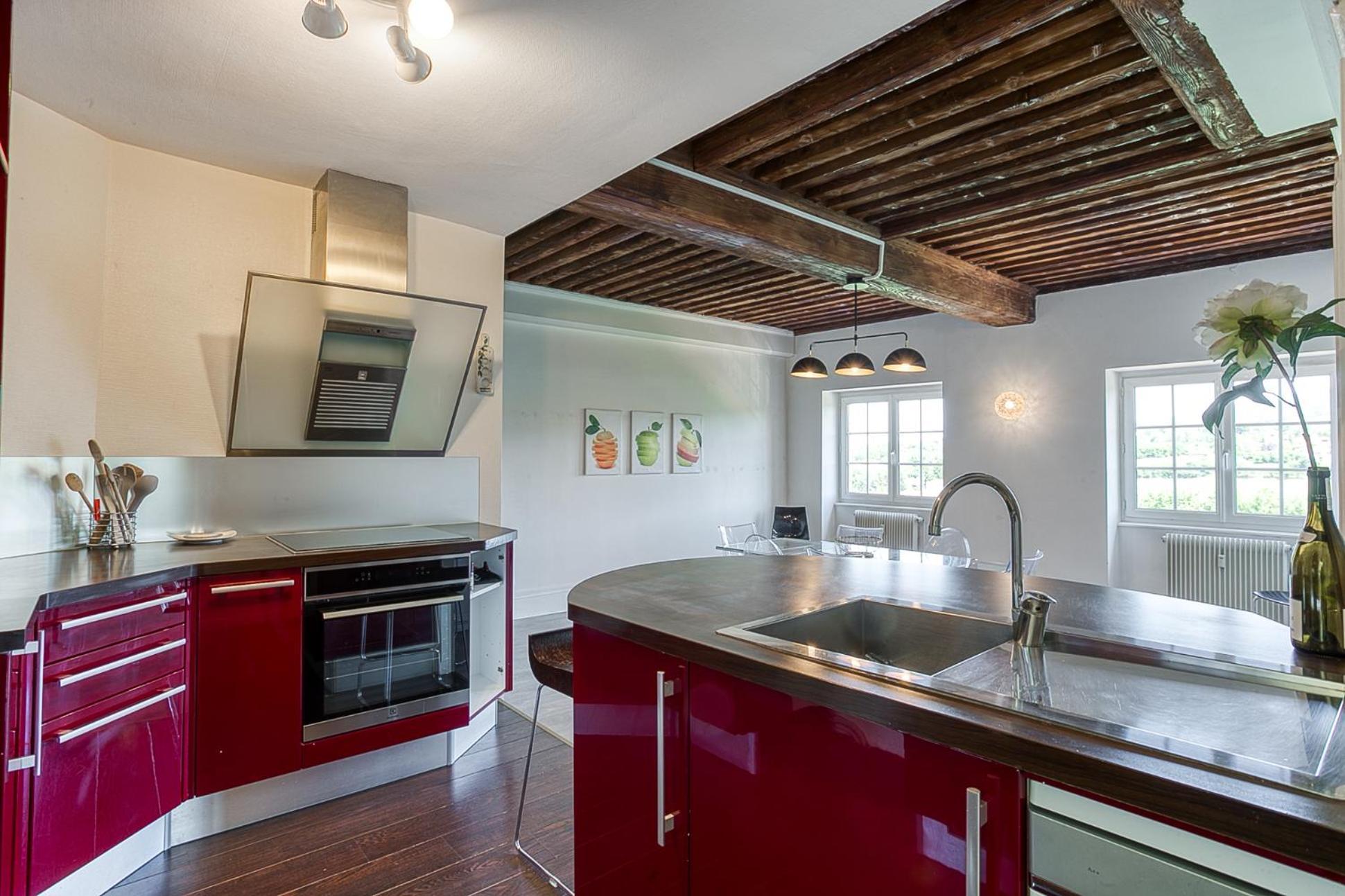 Sejourner Au Chateau De La Roue Grand Appartement Lissieu Extérieur photo