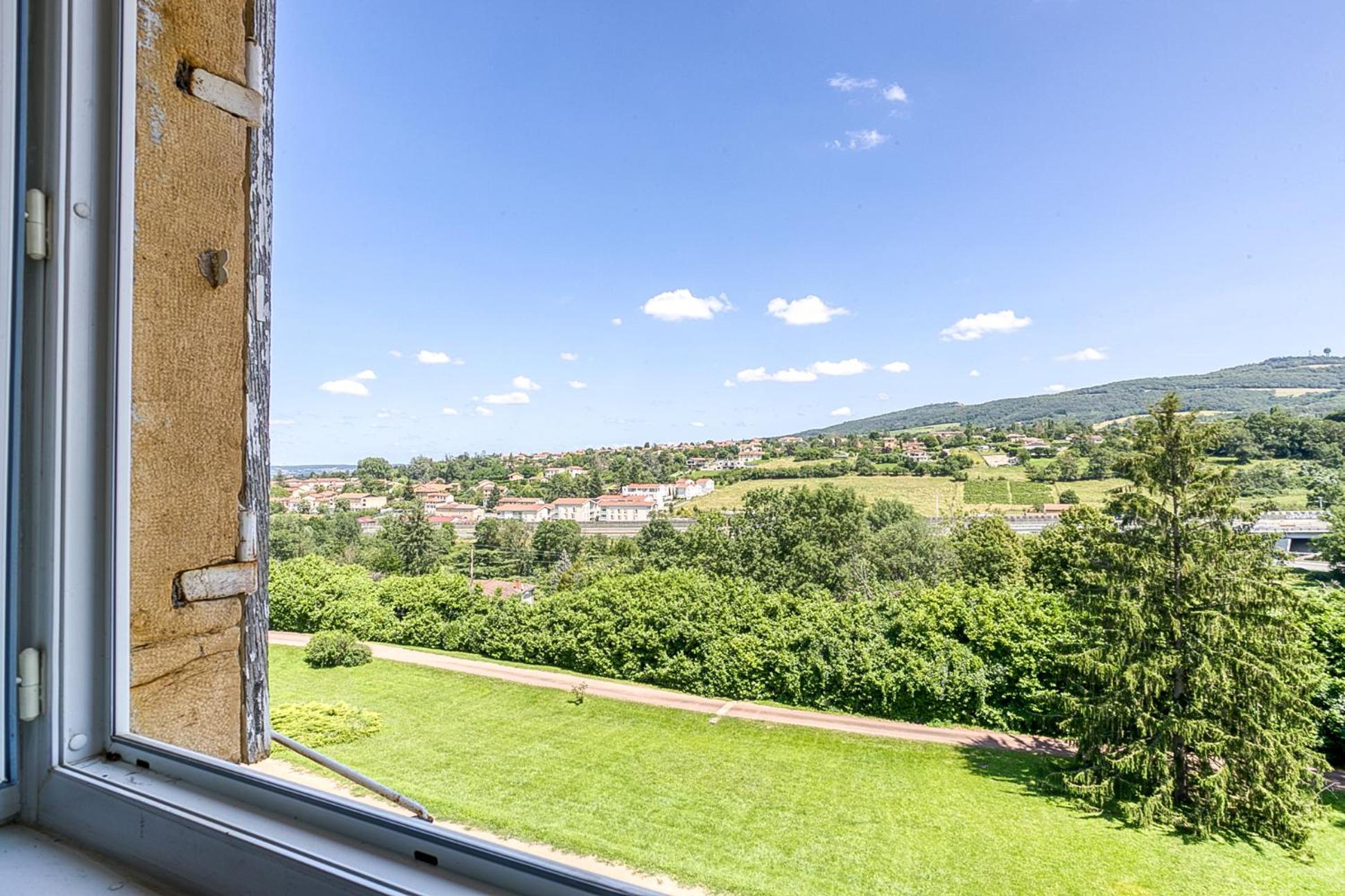 Sejourner Au Chateau De La Roue Grand Appartement Lissieu Extérieur photo