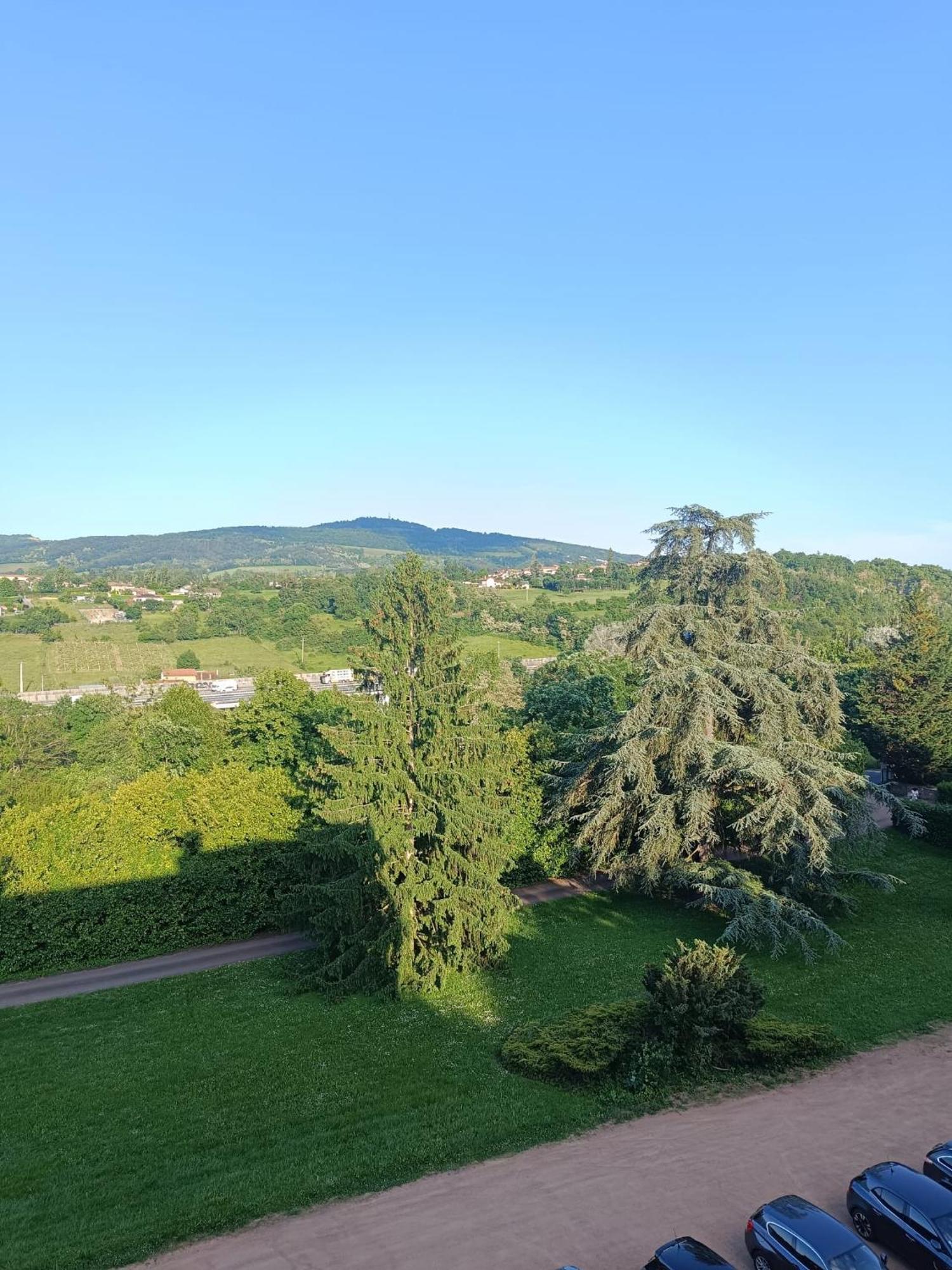 Sejourner Au Chateau De La Roue Grand Appartement Lissieu Extérieur photo