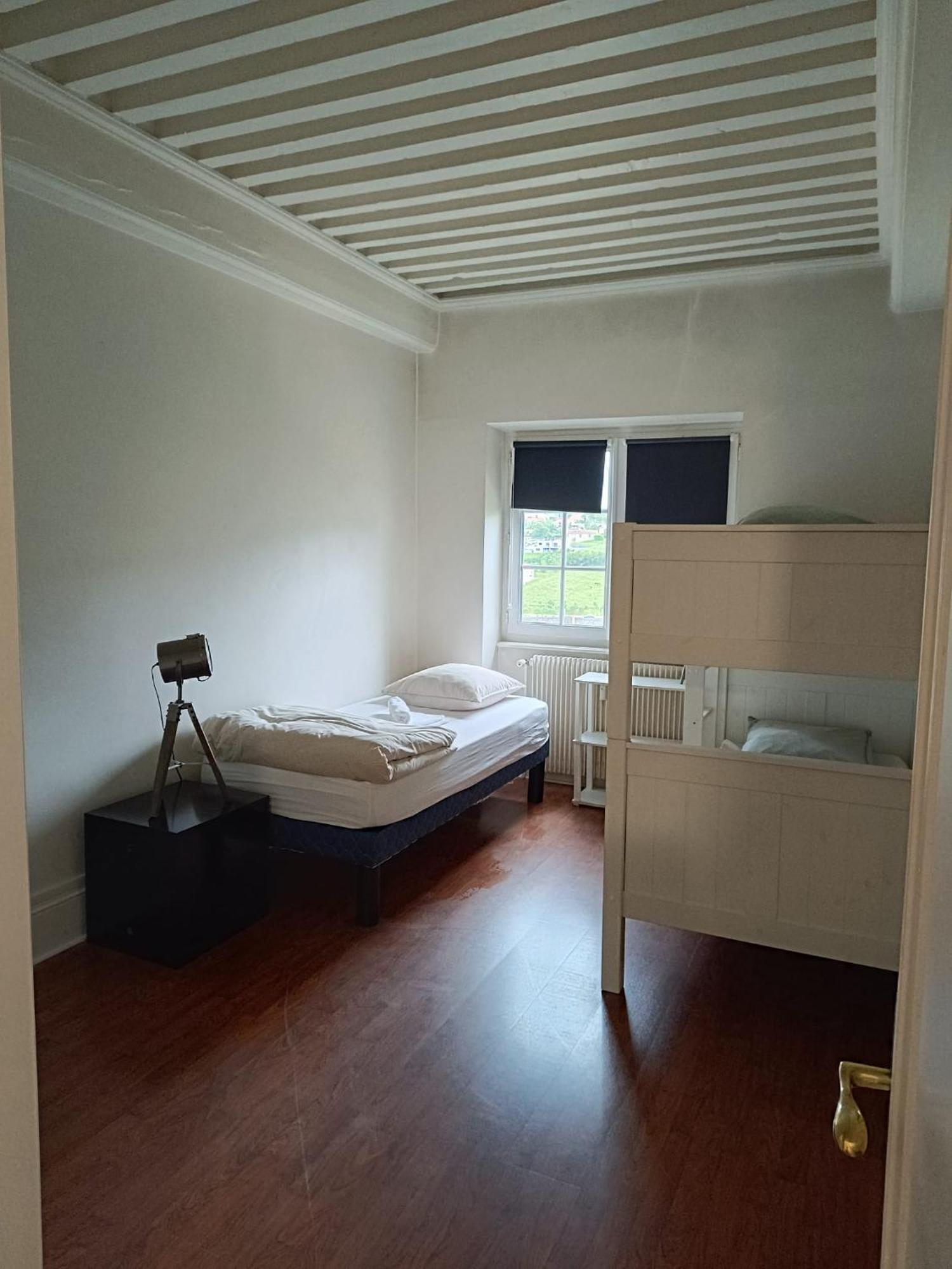 Sejourner Au Chateau De La Roue Grand Appartement Lissieu Extérieur photo